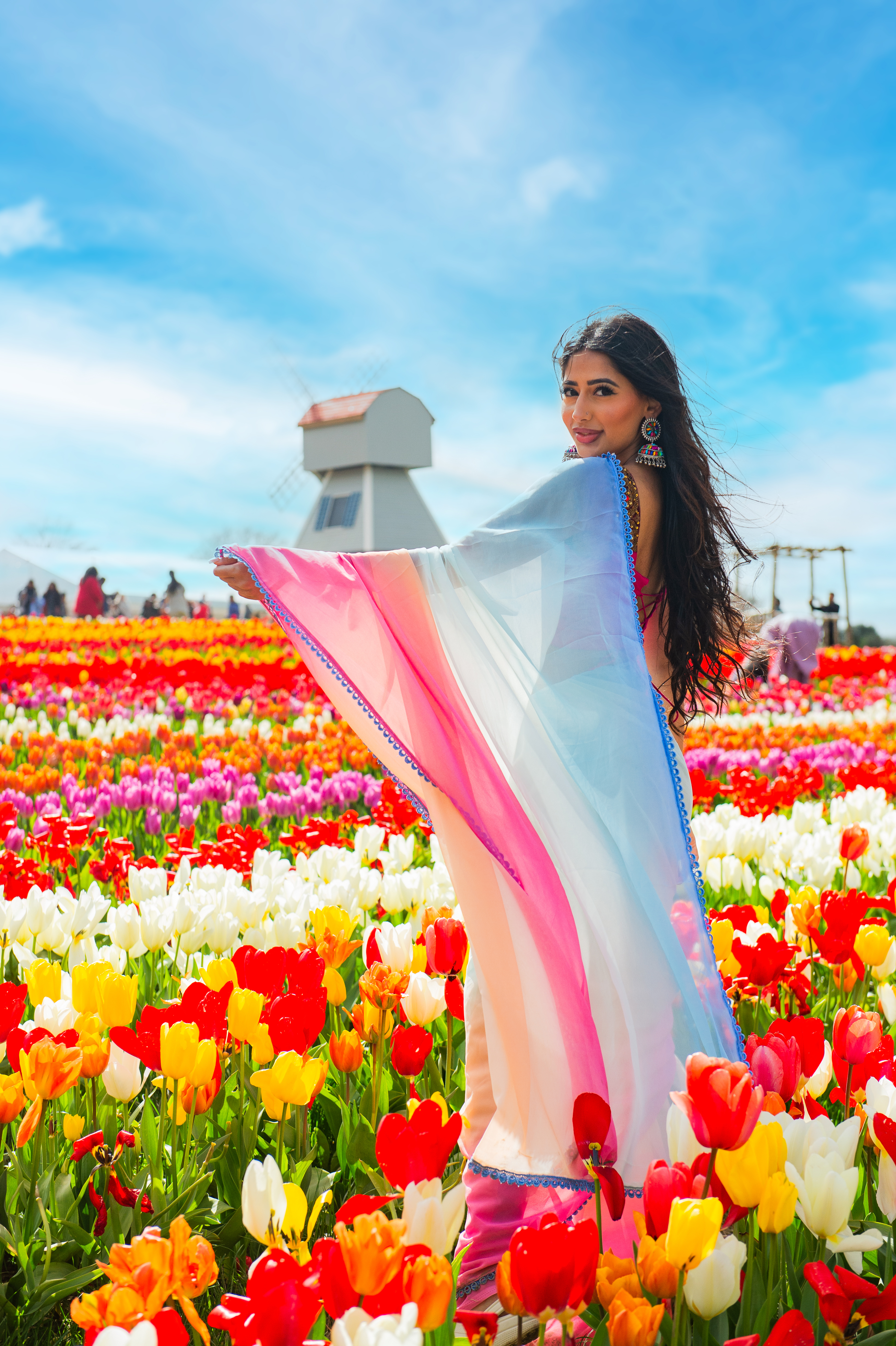 A taste of Holland in the UK - 1.5 million tulips set to bloom as